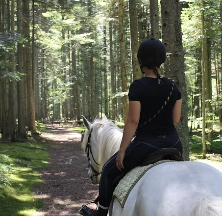 Promenade à cheval