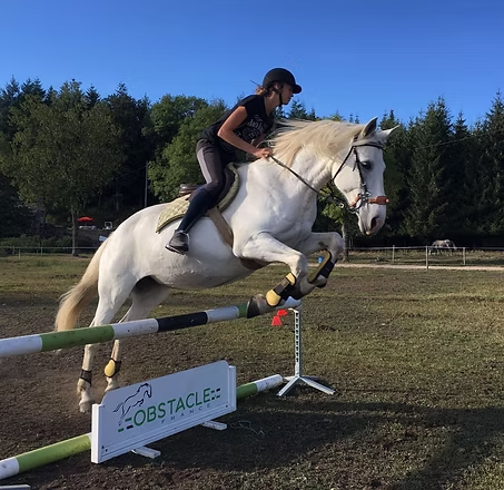 Stage d'équitation