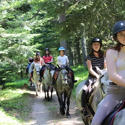 Balade à poneys pour enfant